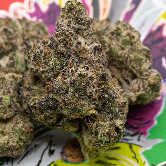 TEDS BUDZ - Incredible Ted - 1