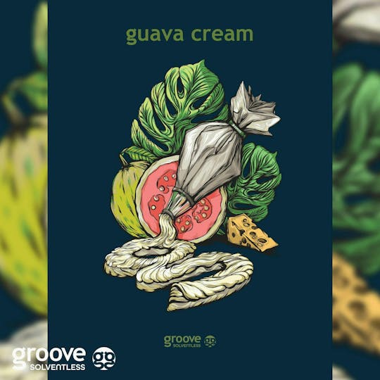 Groove Solventless - Guava Cream Strain Art Poster (18 X 24) - 1