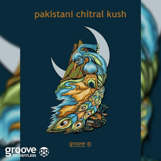 Groove Solventless - Pakistani Chitral Kush Strain Art Poster (18 X 24) - 1