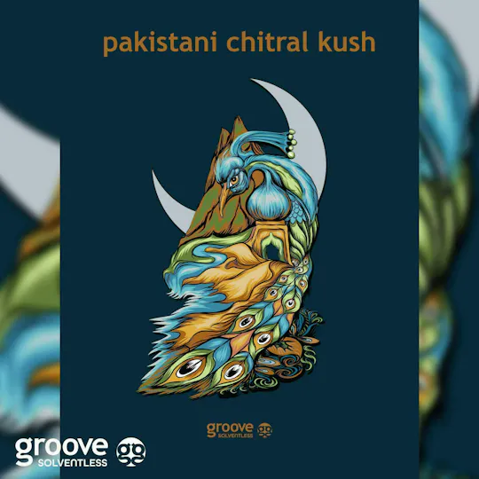 Groove Solventless - Groove Solventless | Pakistani Chitral Kush Strain Art Poster (18 X 24) - 1
