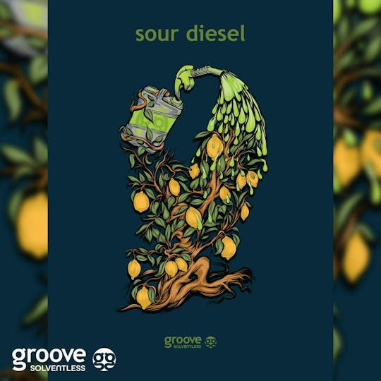 Groove Solventless - Sour Diesel Strain Art Poster (18 X 24) - 1