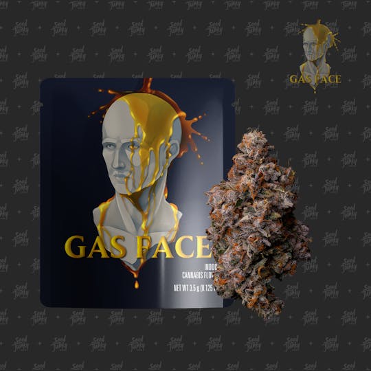 Seed Junky - GAS FACE - 3.5g - 1