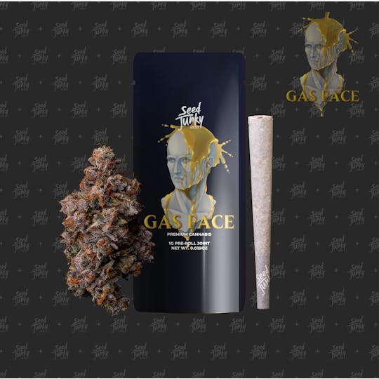 Seed Junky - GAS FACE (1G Pre-Roll) - 1