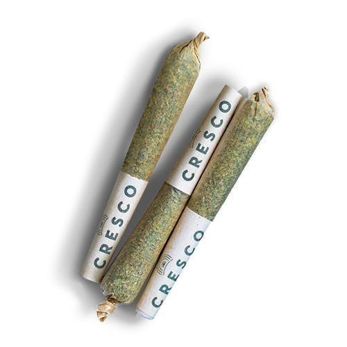 Cresco - Cresco | Apple Fritter | Minis | 0.5g ea | 7pk - 1