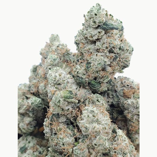 World Class Cannabis - Godfather OG - 1