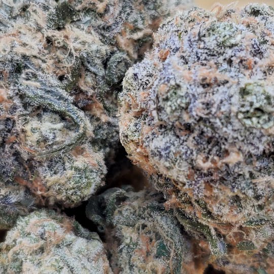 World Class Cannabis - Blue Dream - 1