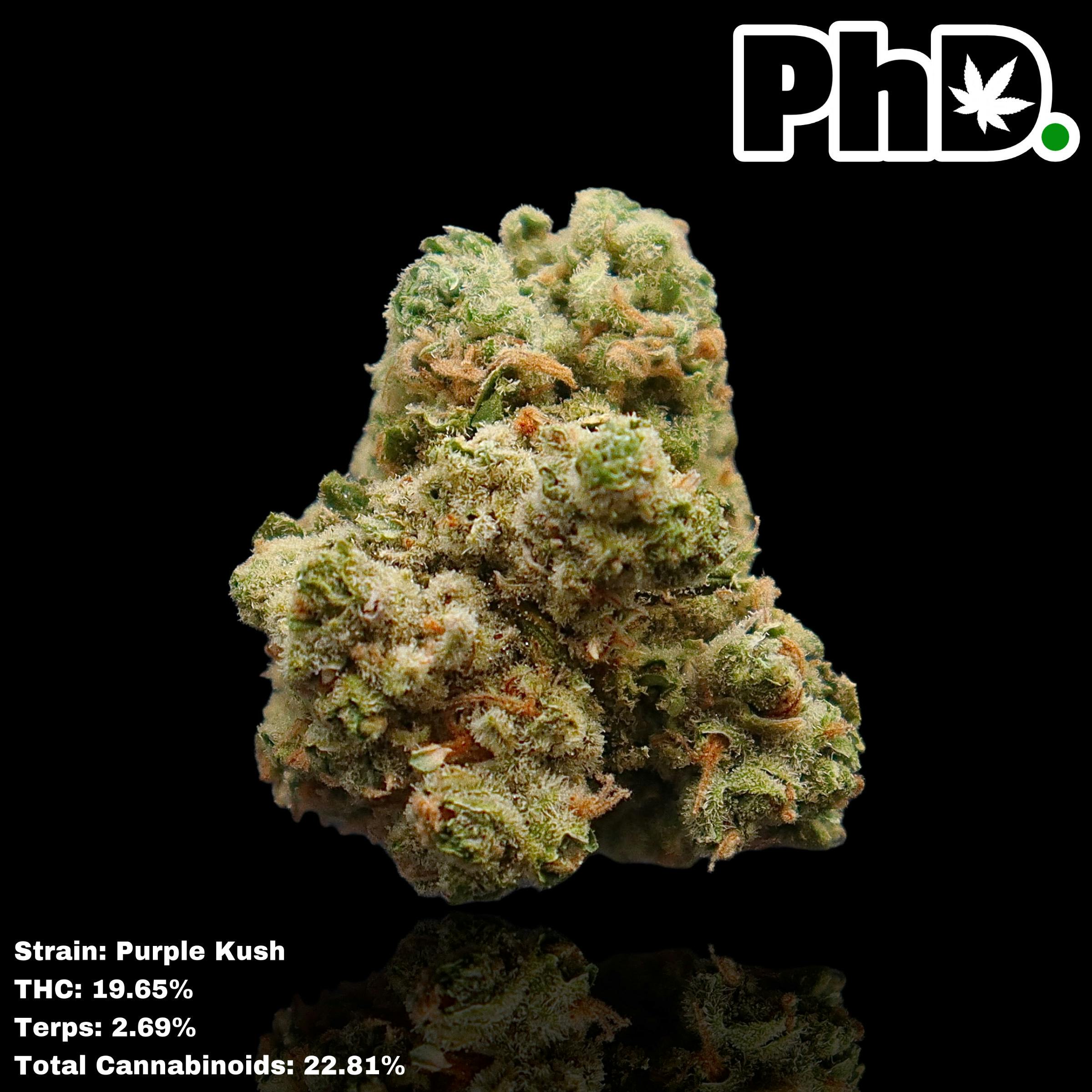Pharmicated - PhD Indoor Flower - Purple Kush - 1