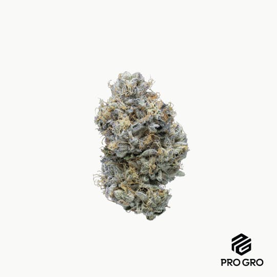 Pro Gro - Ice Cream Cake Pre-Roll | 1g - 1