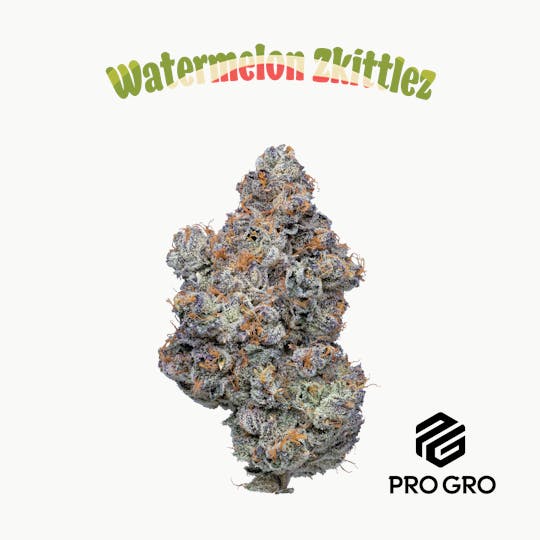 Pro Gro - Watermelon Zkittlez Pre-Roll | 1g - 1