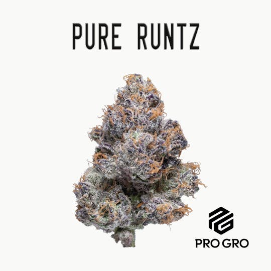 Pro Gro - Pure Runtz Pre-Roll | 1g - 1