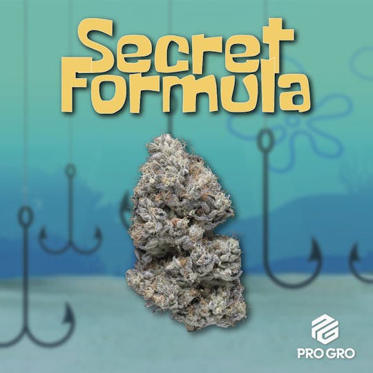 Pro Gro - Secret Formula Pre-Roll | 1g - 1