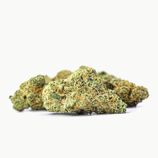 Claybourne Co. - Motorhead (14g) - Small Buds - 1