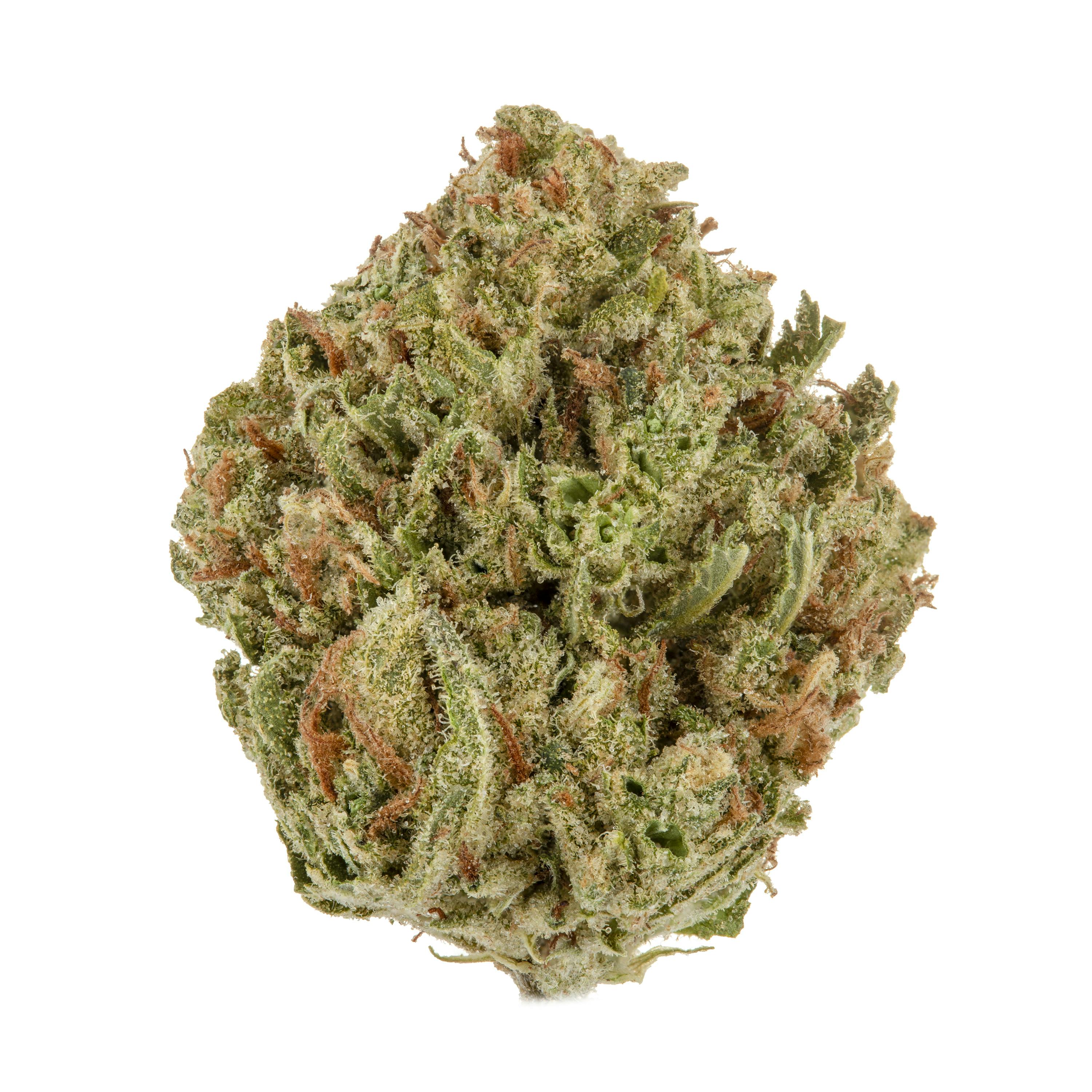 Casacanna - Blue Lime Pie - 1