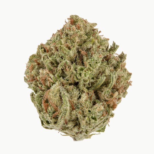 Casacanna - Blue Lime Pie - 1