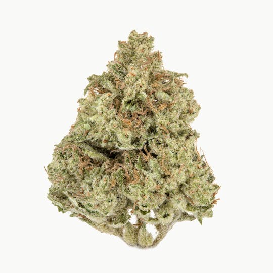 Casacanna - Tangerine Sorbet - 1
