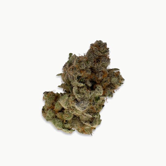Fuzzy Roots Organics - Dirty Grapefruit - Fuzzy Roots Organics - 1