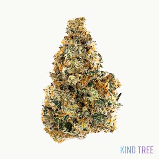 Kind Tree - Collab #13 - 1