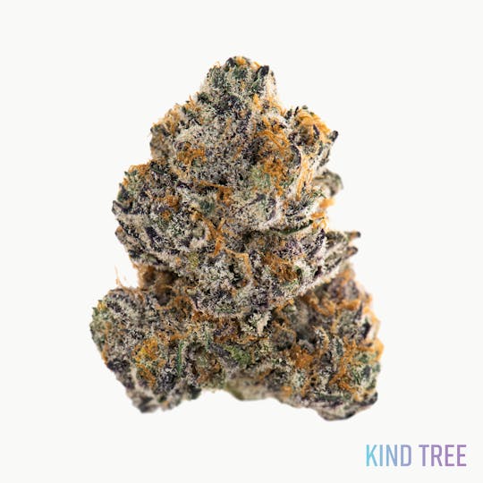 Kind Tree - Cream & Sugar - 1