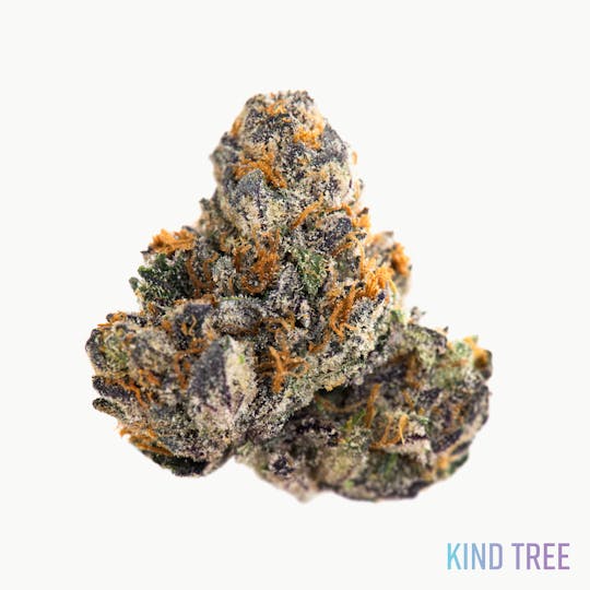 Kind Tree - Designer Runtz - 1
