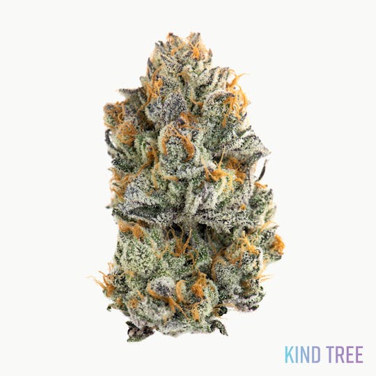 Kind Tree - Frosted Melon Gelato - 1
