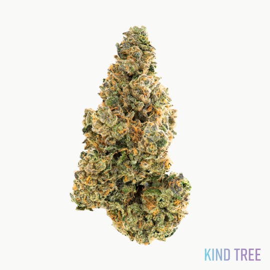 Kind Tree - Warheads - 1