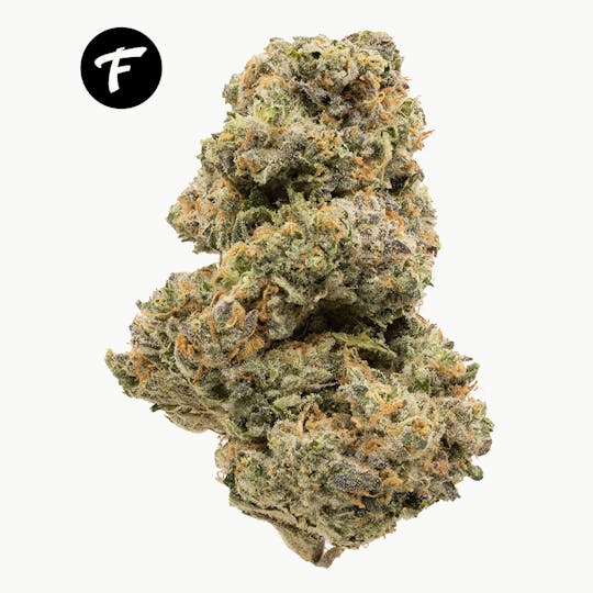 Forte Cannabis - Wedding Pie 3.5G Prepack - 28.56% - 1