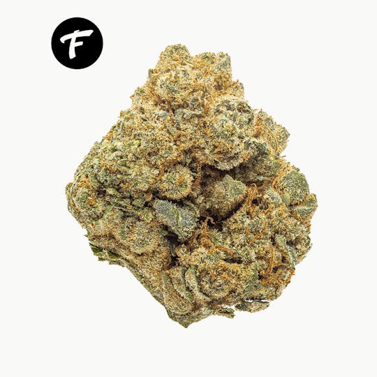 Forte Cannabis - 1G 100% FLOWER PRE-ROLL - MOTORBREATH - 29.8% - 1