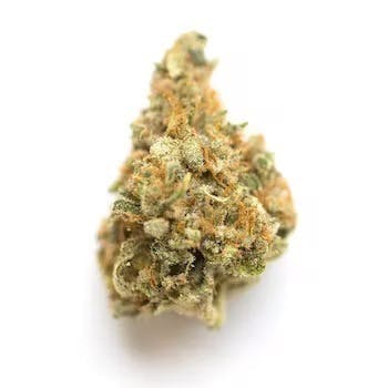 Primitiv - Zlushiez | Flower - 1