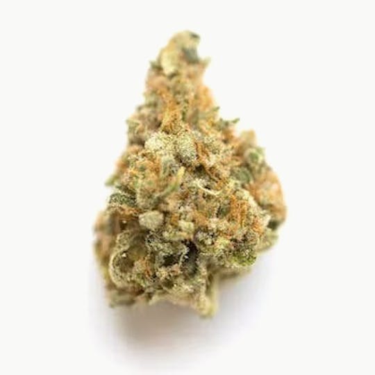 Primitiv - Zlushiez | Flower - 1