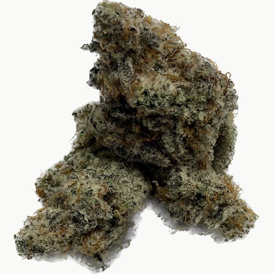 7 Leaf - MAC 1 - 1
