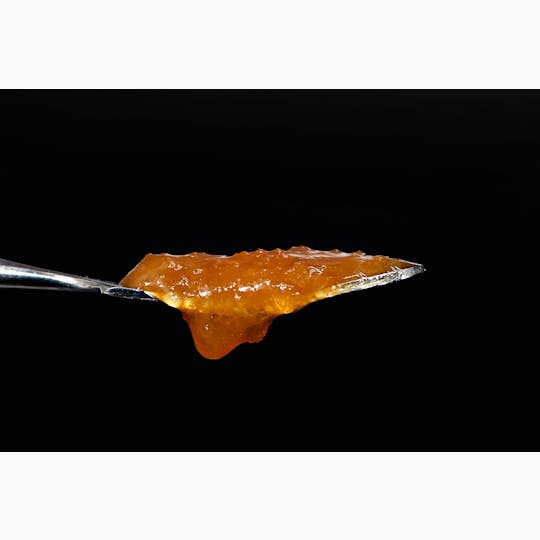 True North Collective MI - Five Star Extracts: Sherb Cream Pie - 1 Gram Nug Run Sugar Sauce - 1