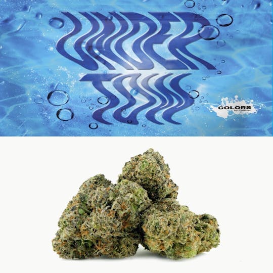 Cookies Michigan - Undertow - 1