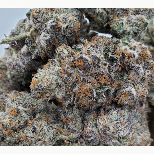World Class Cannabis - Purple Punch - 1
