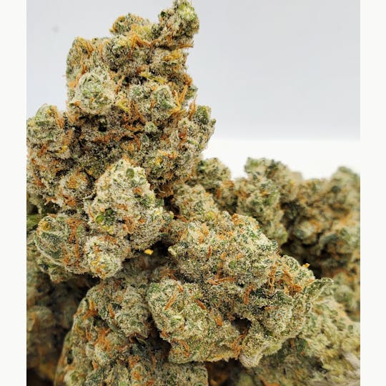 World Class Cannabis - Alaskan Thunder Fuck - 1