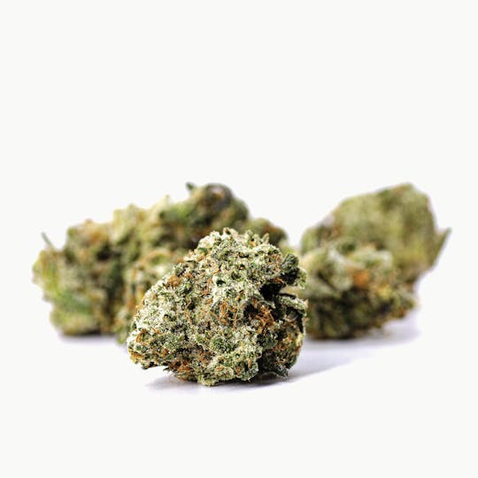 Claybourne Co. - Mango Haze (28g) - Small Buds - 1