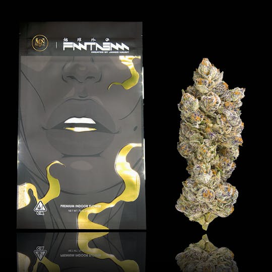 Maven Genetics - Fantasma - 1