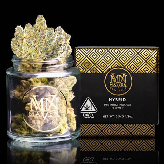 Maven Genetics - Honey Lemon Hibiscus - 1