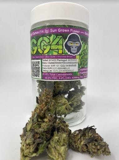 Eighth Brother - Eighth Brother | GG4 | Big Buds Jar | 14g - 1