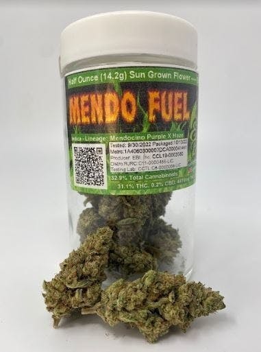 Eighth Brother - Eighth Brother | Mendo Fuel | Big Buds Jar | 14g - 1