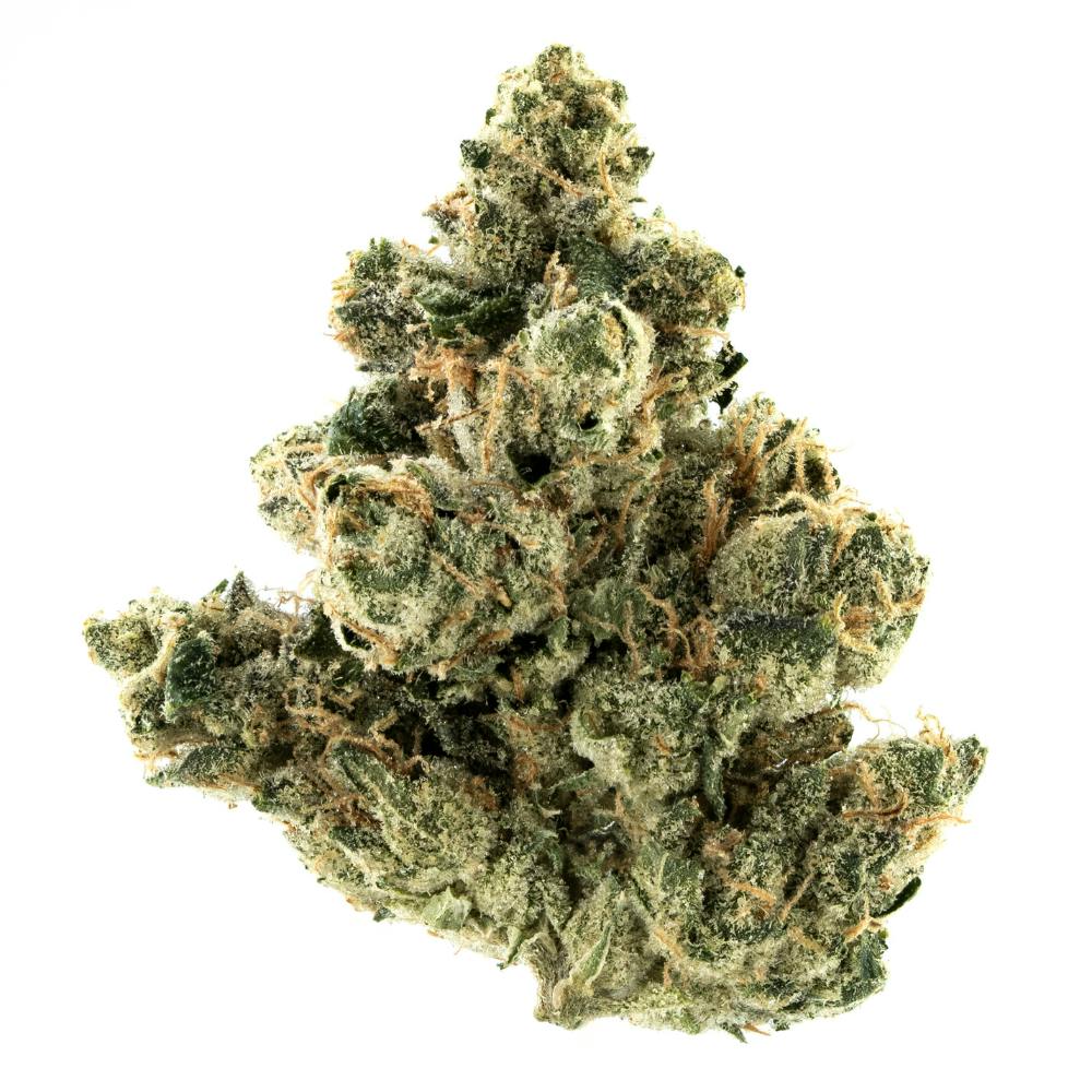 FloraCal Farms - Chem 91 x Girl Scout Cookie | Hybrid Smalls [1g] - 1