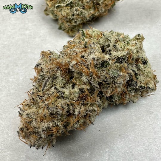 Mammoth Inc - Cap Junky 1g Preroll - 1