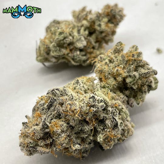 Mammoth Inc - MAC1 1g Preroll - 1