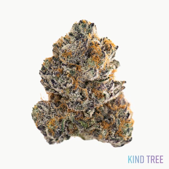 Kind Tree - Cream & Sugar - 1