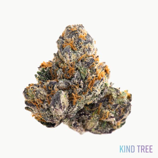 Kind Tree - Designer Runtz - 1