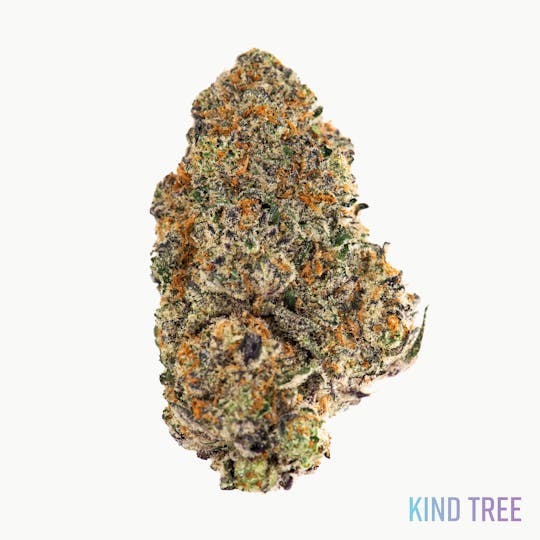 Kind Tree - NJ Gas Man - 1