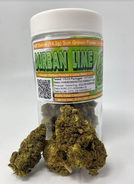 Eighth Brother - Eighth Brother | Durban Lime | Big Buds Jar | 14g - 1