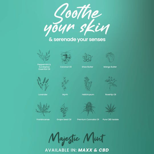 Chill Medicated - 75mg THC : 75mg CBD | MAXX TO-GO Majestic Mint Body Rub | REC - 1