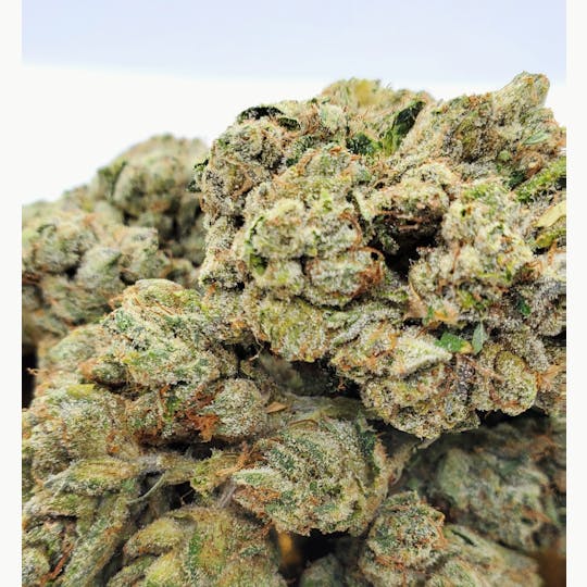 World Class Cannabis - Alien Kush - 1