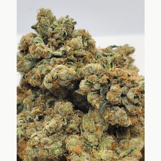World Class Cannabis - White Walker OG - 1