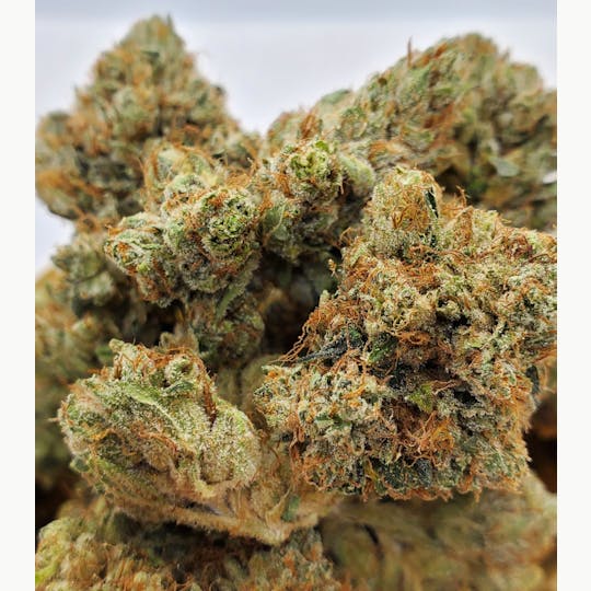 World Class Cannabis - Darth Vader OG - 1